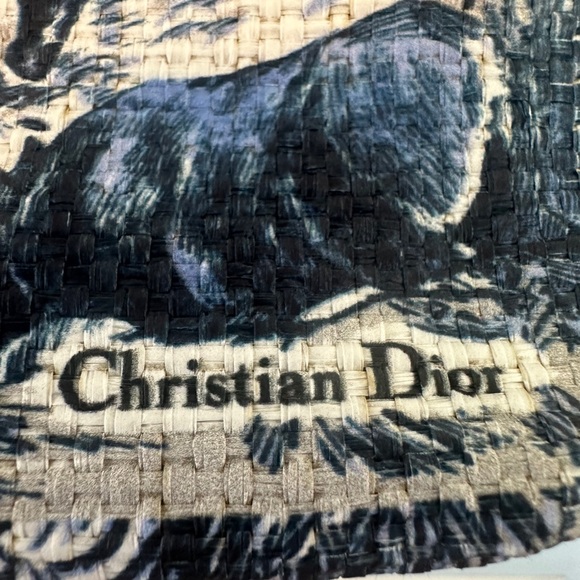 NWOT DIOR Around the World Limited Edition Tote Bag - Picture 5 of 10